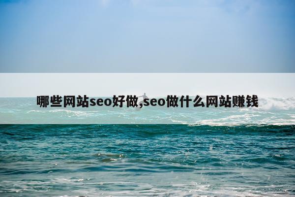 哪些网站seo好做,seo做什么网站赚钱