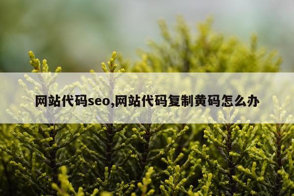 网站代码seo,网站代码复制黄码怎么办