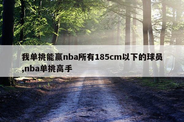 我单挑能赢nba所有185cm以下的球员,nba单挑高手