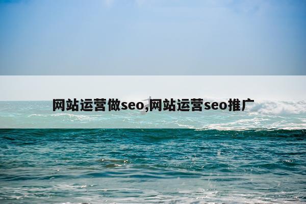 网站运营做seo,网站运营seo推广