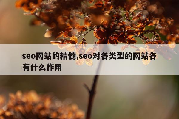 seo网站的精髓,seo对各类型的网站各有什么作用
