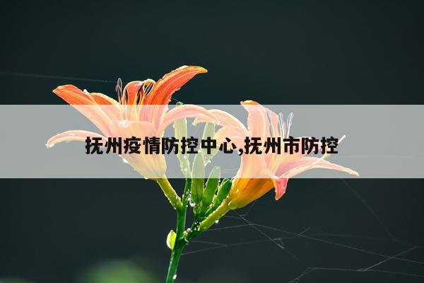 抚州疫情防控中心,抚州市防控
