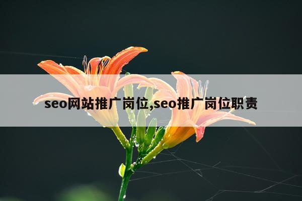 seo网站推广岗位,seo推广岗位职责