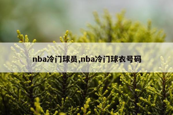 nba冷门球员,nba冷门球衣号码