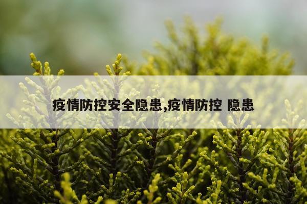 疫情防控安全隐患,疫情防控 隐患