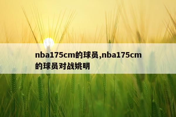 nba175cm的球员,nba175cm的球员对战姚明