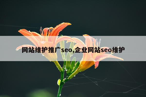 网站维护推广seo,企业网站seo维护