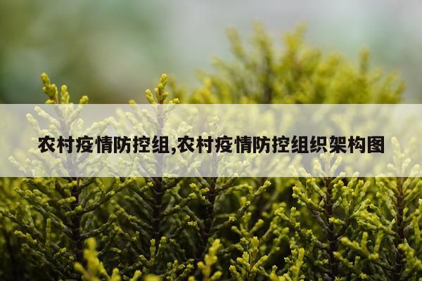 农村疫情防控组,农村疫情防控组织架构图