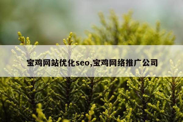 宝鸡网站优化seo,宝鸡网络推广公司