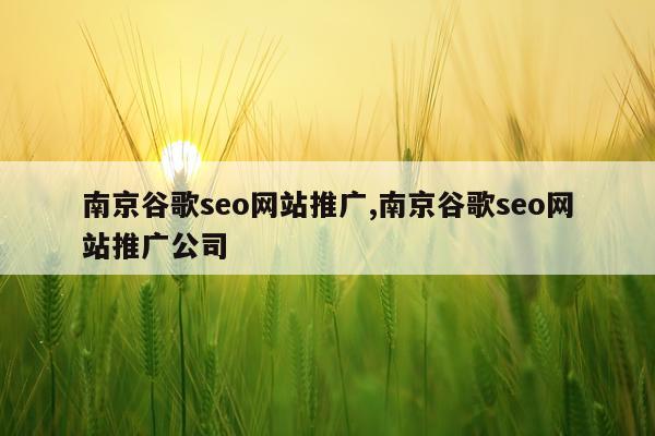 南京谷歌seo网站推广,南京谷歌seo网站推广公司