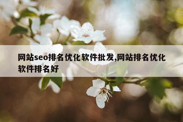 网站seo排名优化软件批发,网站排名优化软件排名好