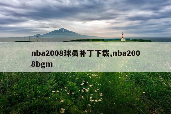 nba2008球员补丁下载,nba2008bgm