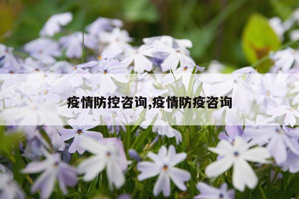 疫情防控咨询,疫情防疫咨询