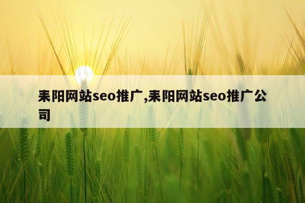 耒阳网站seo推广,耒阳网站seo推广公司