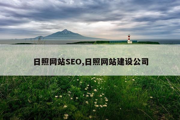 日照网站SEO,日照网站建设公司