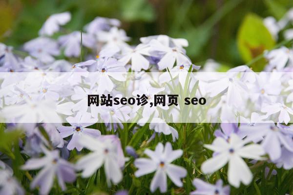 网站seo诊,网页 seo