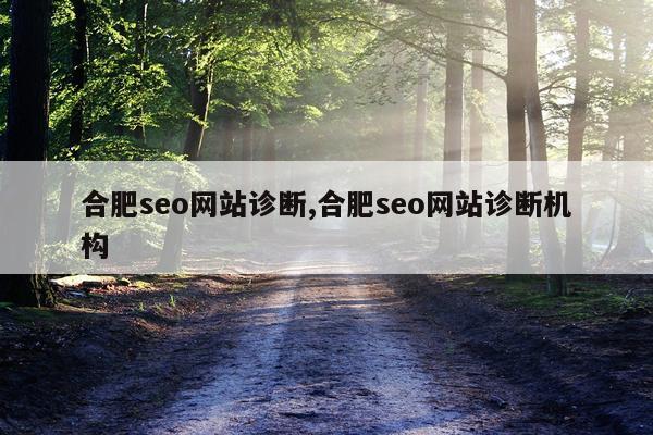 合肥seo网站诊断,合肥seo网站诊断机构