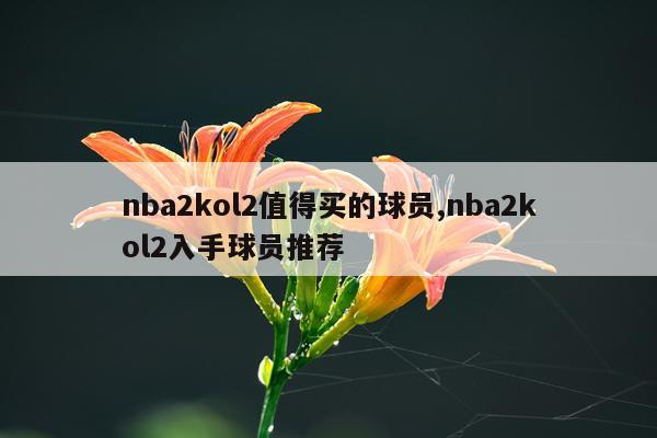 nba2kol2值得买的球员,nba2kol2入手球员推荐