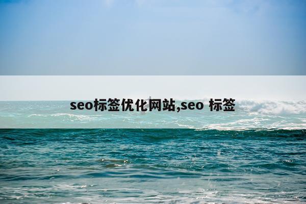 seo标签优化网站,seo 标签