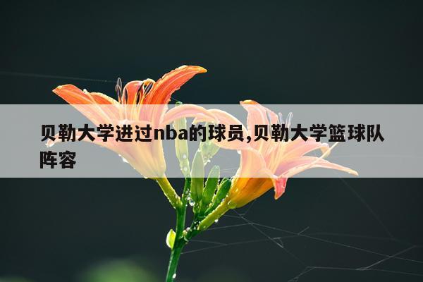贝勒大学进过nba的球员,贝勒大学篮球队阵容