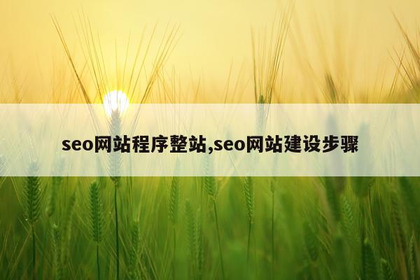 seo网站程序整站,seo网站建设步骤