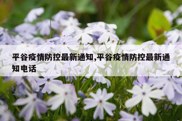 平谷疫情防控最新通知,平谷疫情防控最新通知电话