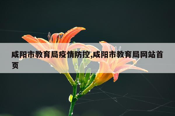 咸阳市教育局疫情防控,咸阳市教育局网站首页