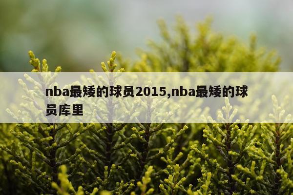nba最矮的球员2015,nba最矮的球员库里