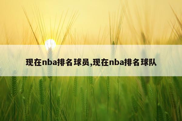 现在nba排名球员,现在nba排名球队