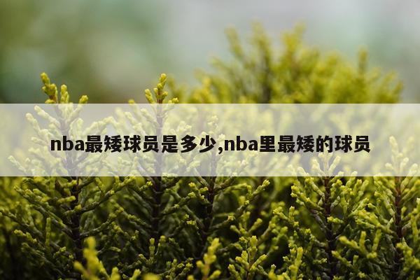 nba最矮球员是多少,nba里最矮的球员