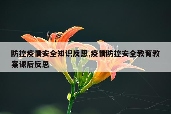 防控疫情安全知识反思,疫情防控安全教育教案课后反思
