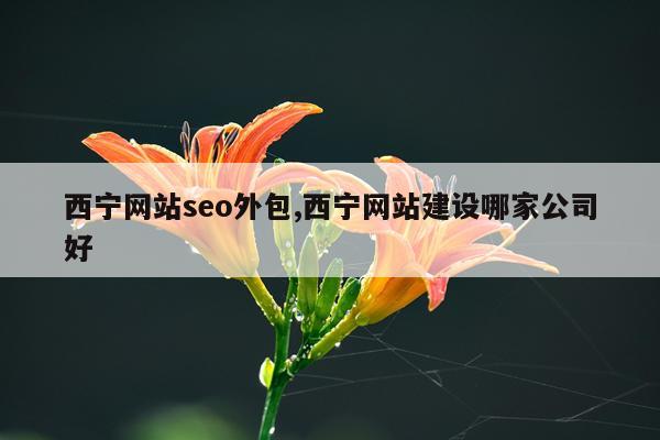 西宁网站seo外包,西宁网站建设哪家公司好