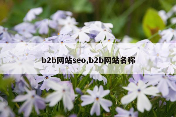 b2b网站seo,b2b网站名称