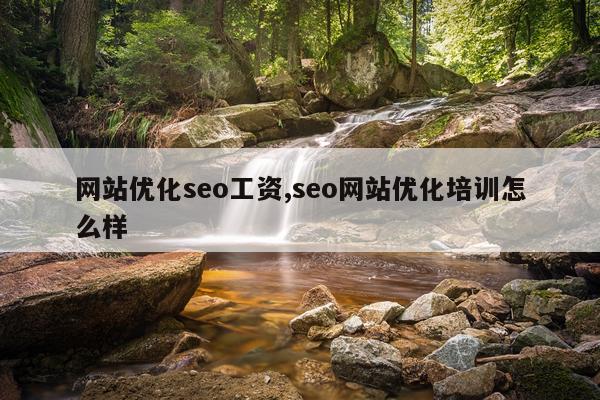 网站优化seo工资,seo网站优化培训怎么样