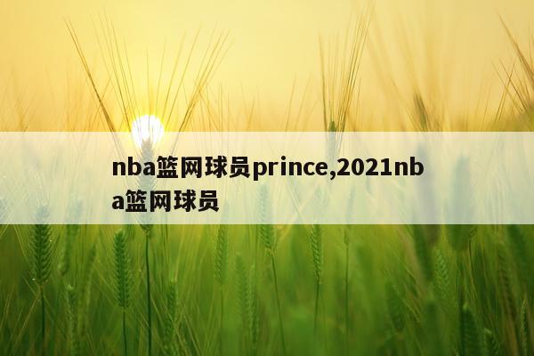 nba篮网球员prince,2021nba篮网球员