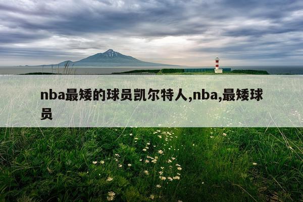 nba最矮的球员凯尔特人,nba,最矮球员