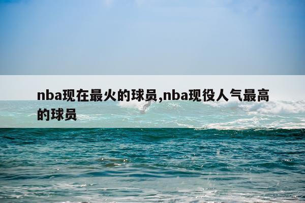 nba现在最火的球员,nba现役人气最高的球员