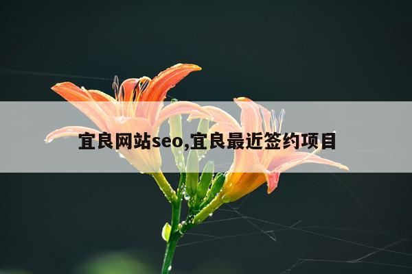 宜良网站seo,宜良最近签约项目