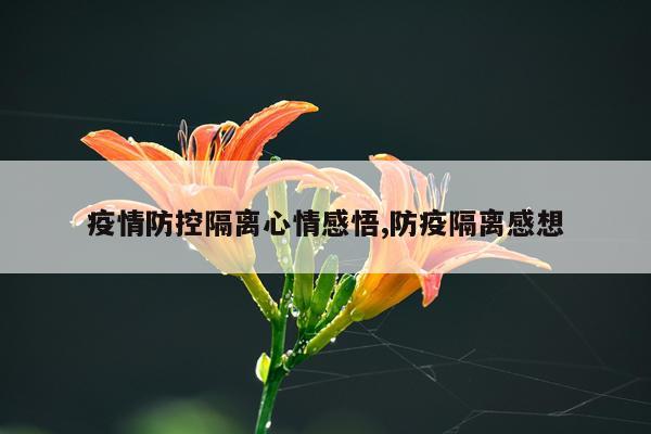 疫情防控隔离心情感悟,防疫隔离感想