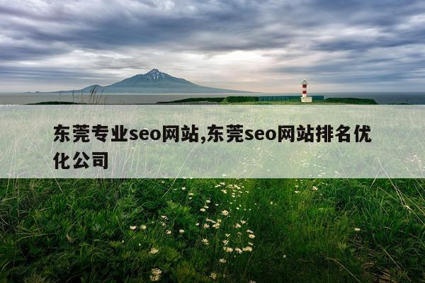 东莞专业seo网站,东莞seo网站排名优化公司