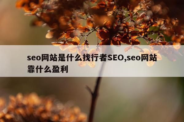 seo网站是什么找行者SEO,seo网站靠什么盈利