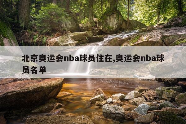 北京奥运会nba球员住在,奥运会nba球员名单