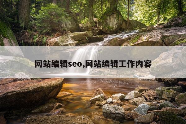 网站编辑seo,网站编辑工作内容