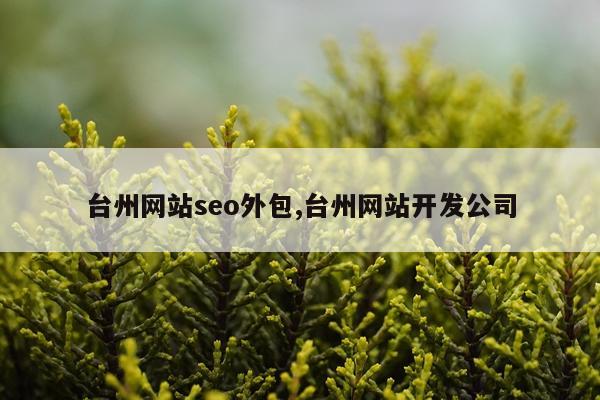 台州网站seo外包,台州网站开发公司