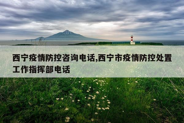 西宁疫情防控咨询电话,西宁市疫情防控处置工作指挥部电话