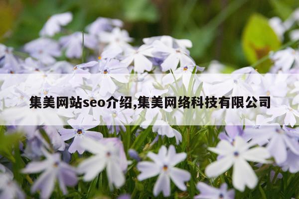 集美网站seo介绍,集美网络科技有限公司