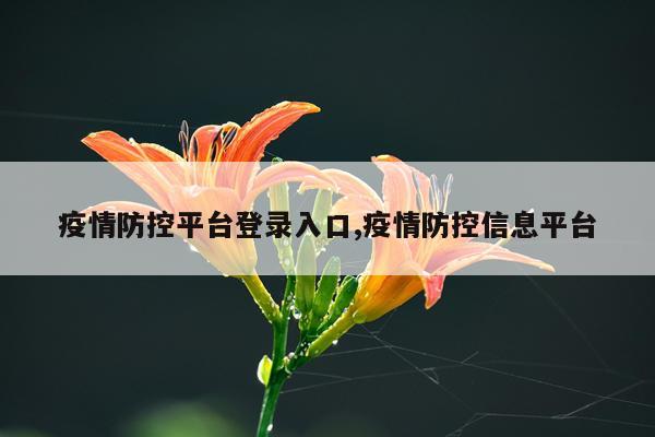 疫情防控平台登录入口,疫情防控信息平台
