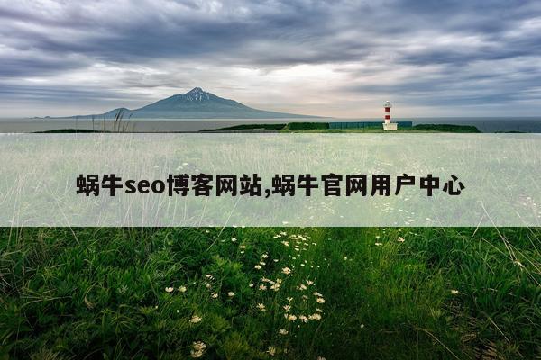 蜗牛seo博客网站,蜗牛官网用户中心
