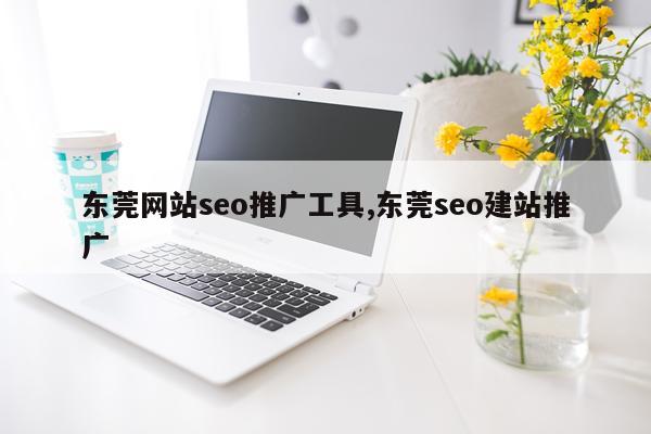 东莞网站seo推广工具,东莞seo建站推广