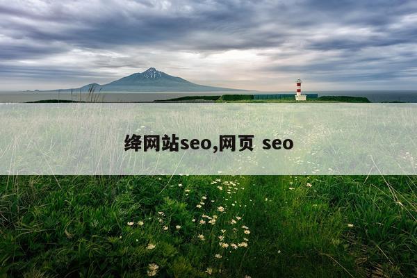 绛网站seo,网页 seo